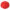 Bigel dog ball | promopoint