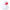 Koldy rubber duck | promopoint
